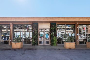 Palmera_Vue Porte_R1