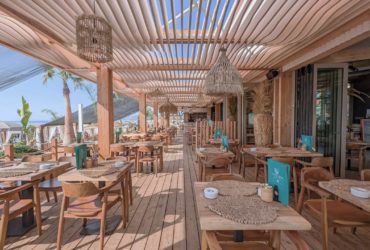 Palmera_Vue Terrasse R