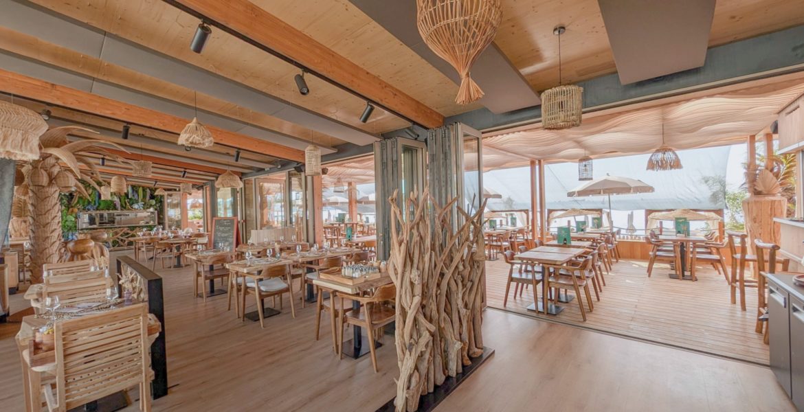 Palmera_Vue interieure - R