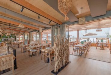 Palmera_Vue interieure - R